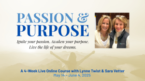 Passion & Purpose